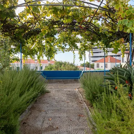 Quinta Virtudes 3*